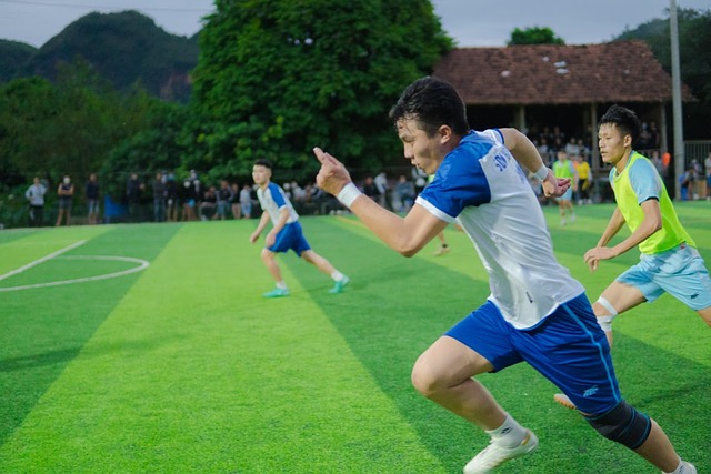 部对居勒尔