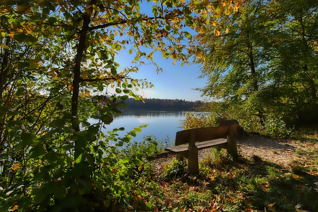 功离不开两 功离不开两