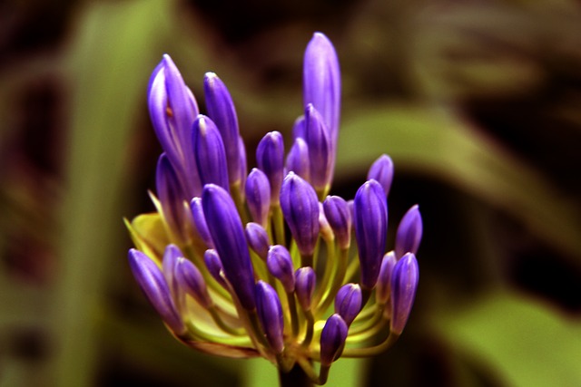 接破门的经 接破门的经