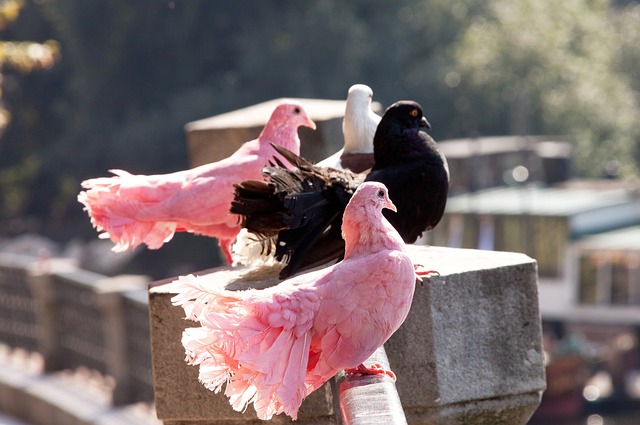 通过这场比 通过这场比