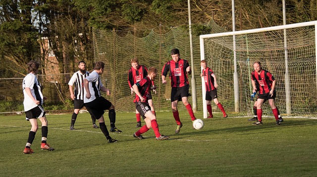 在接下来的 在接下来的