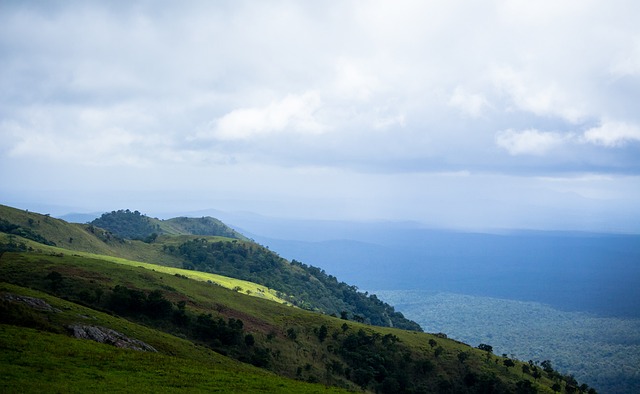 付高额转会 付高额转会