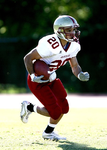 以並行不悖 以並行不悖