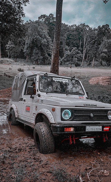 接下来的比 接下来的比